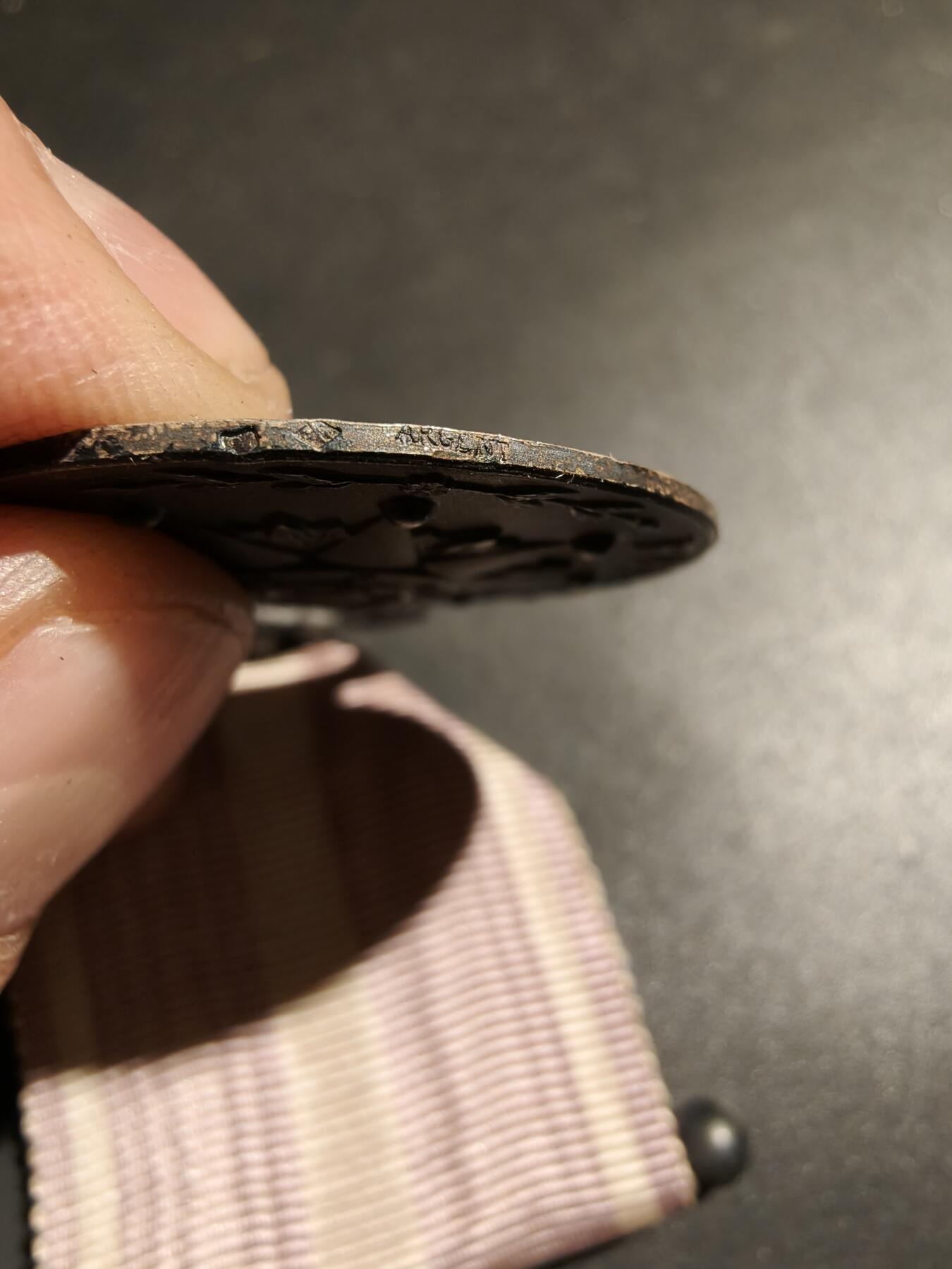 老王徽章第183期 法国银级公民之星奖章    950银    24.3g