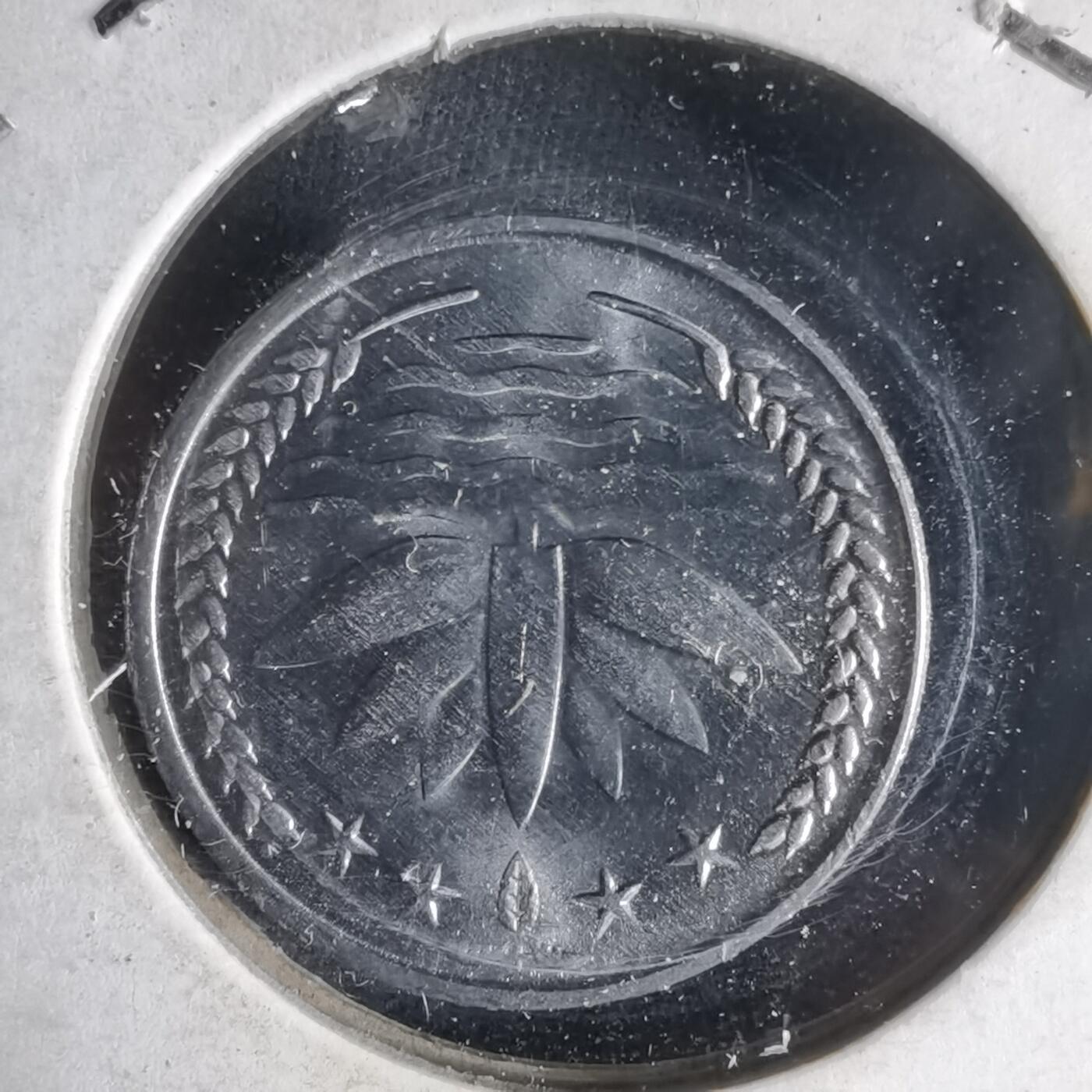 沼泽如烟--第999场