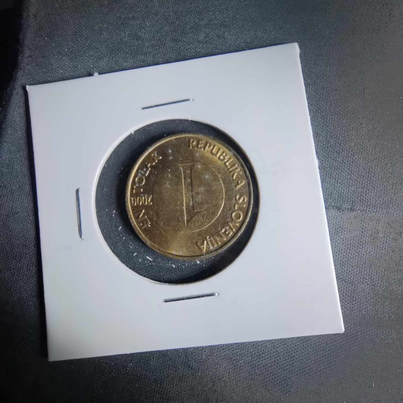 沼泽如烟--第999场