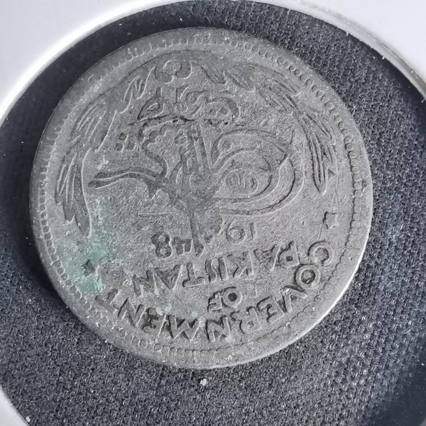 沼泽如烟--第999场