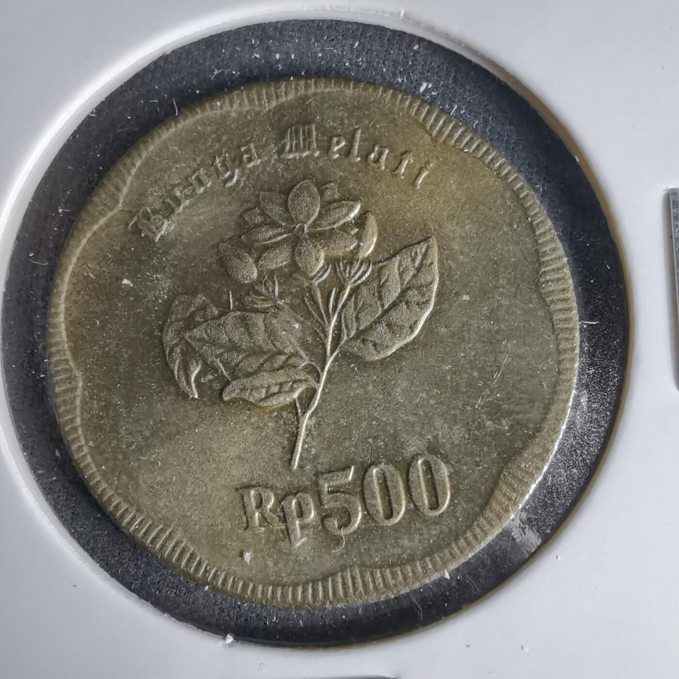 沼泽如烟--第999场