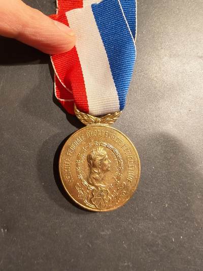 老王徽章第183期 - 法国金级农业荣誉奖章