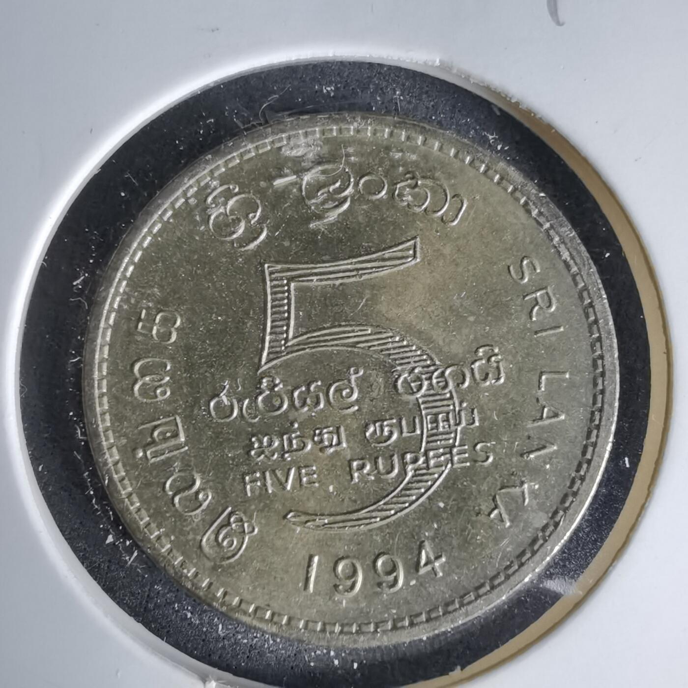 沼泽如烟--第999场