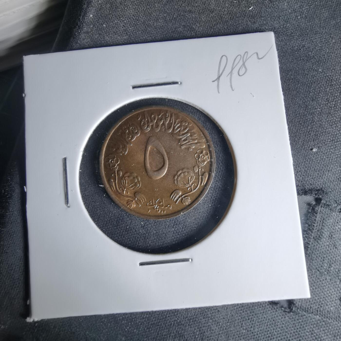 沼泽如烟--第999场 苏丹