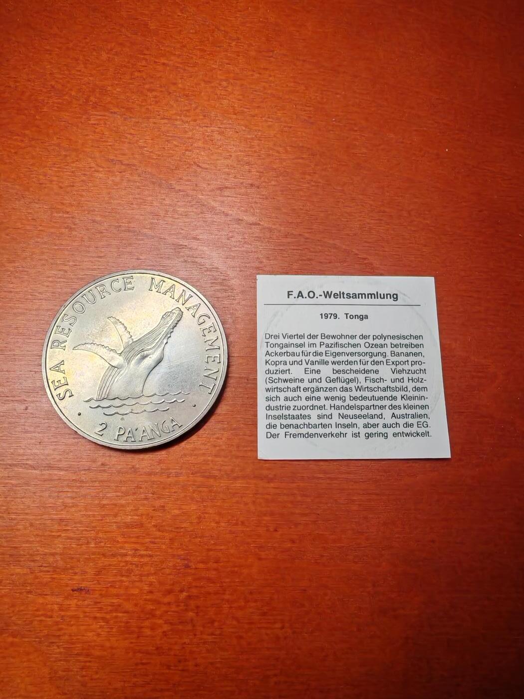 长老汇马年精选第一场拍卖