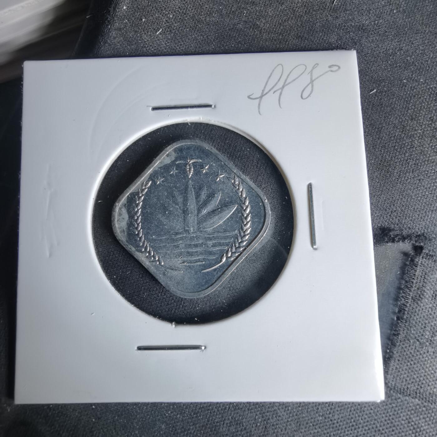 沼泽如烟--第999场