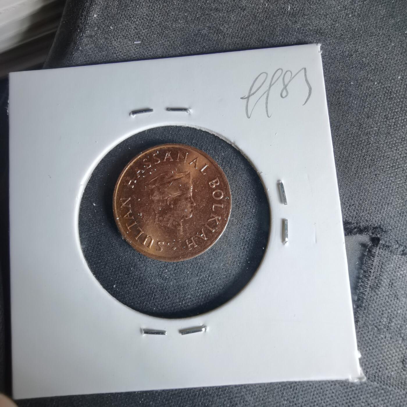 沼泽如烟--第999场