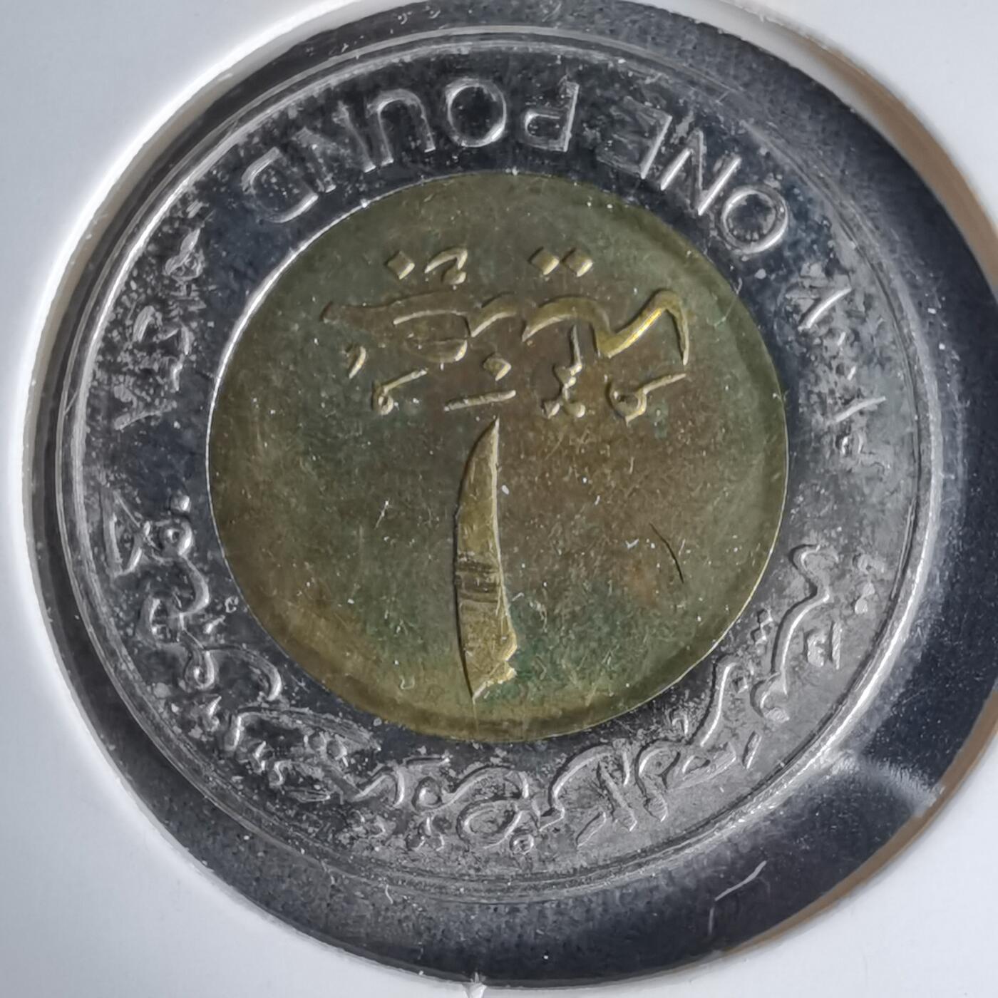 沼泽如烟--第999场