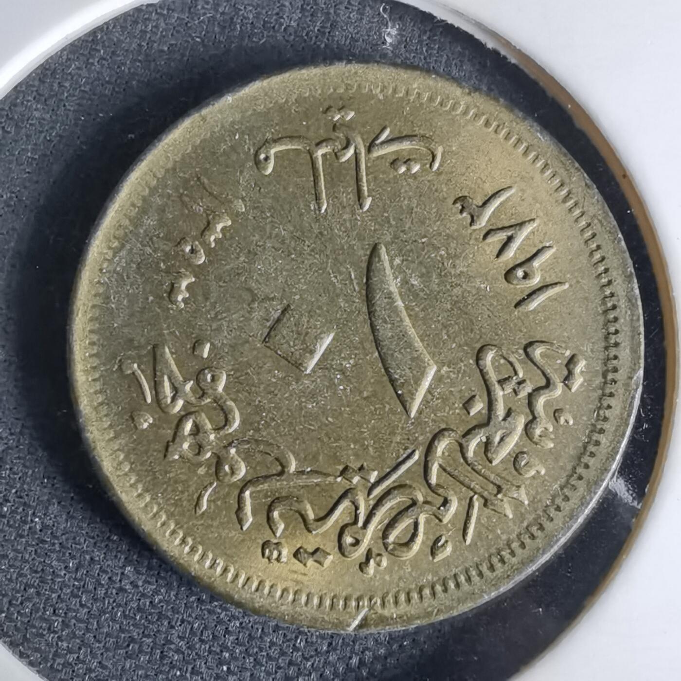 沼泽如烟--第999场