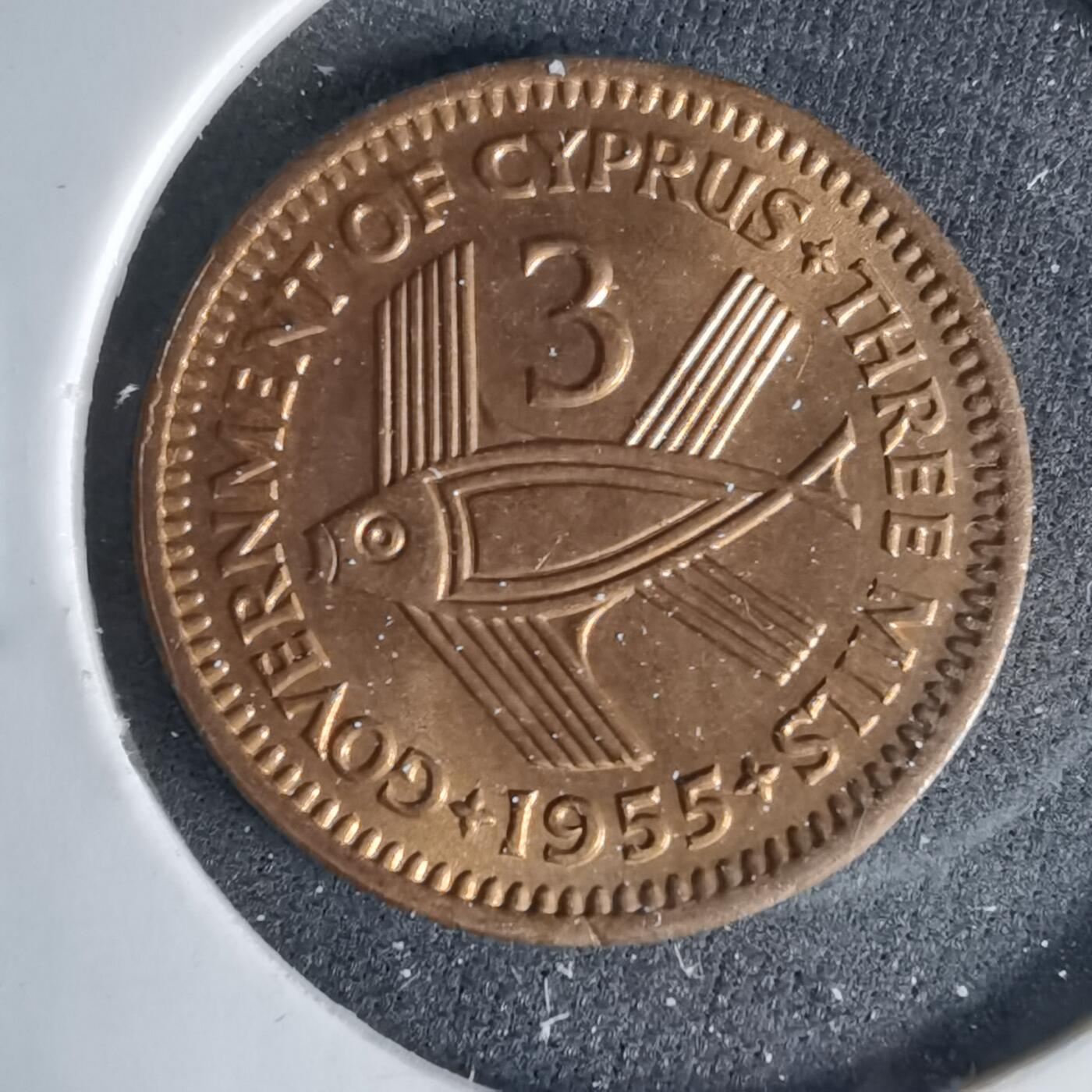 沼泽如烟--第999场