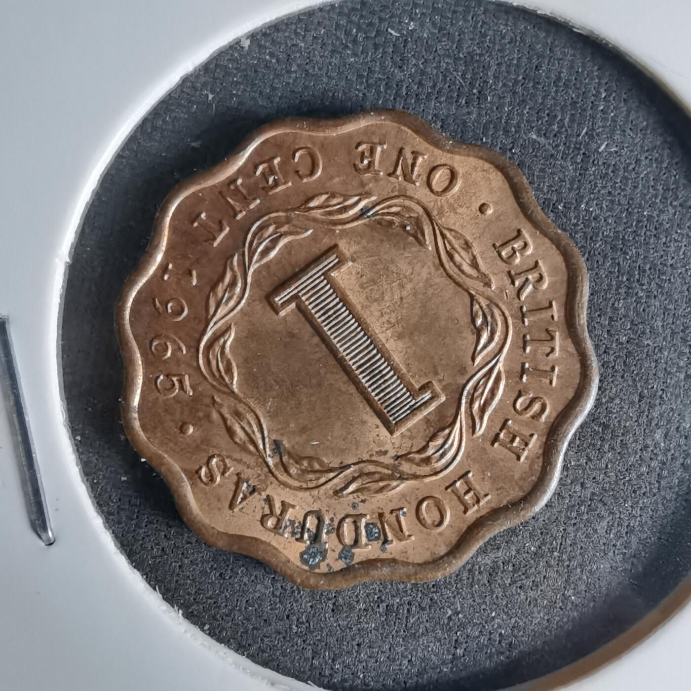 沼泽如烟--第999场