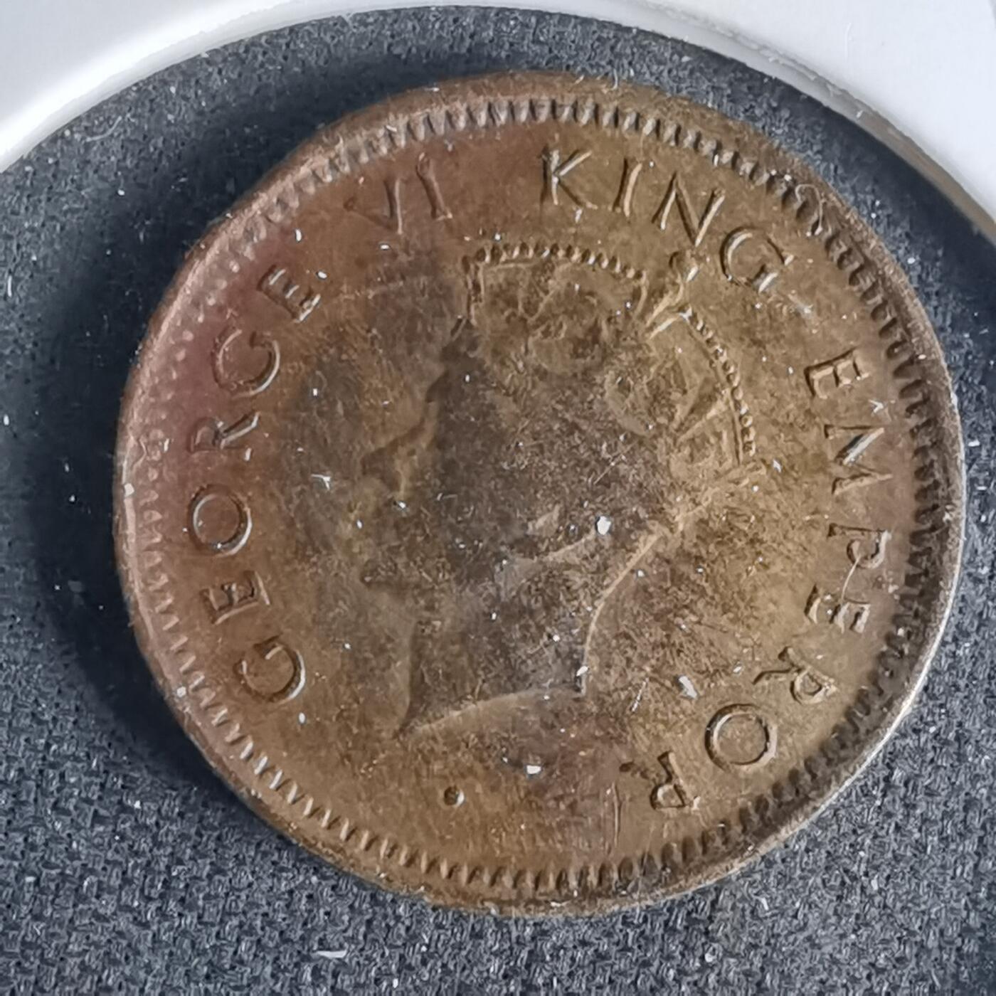 沼泽如烟--第999场