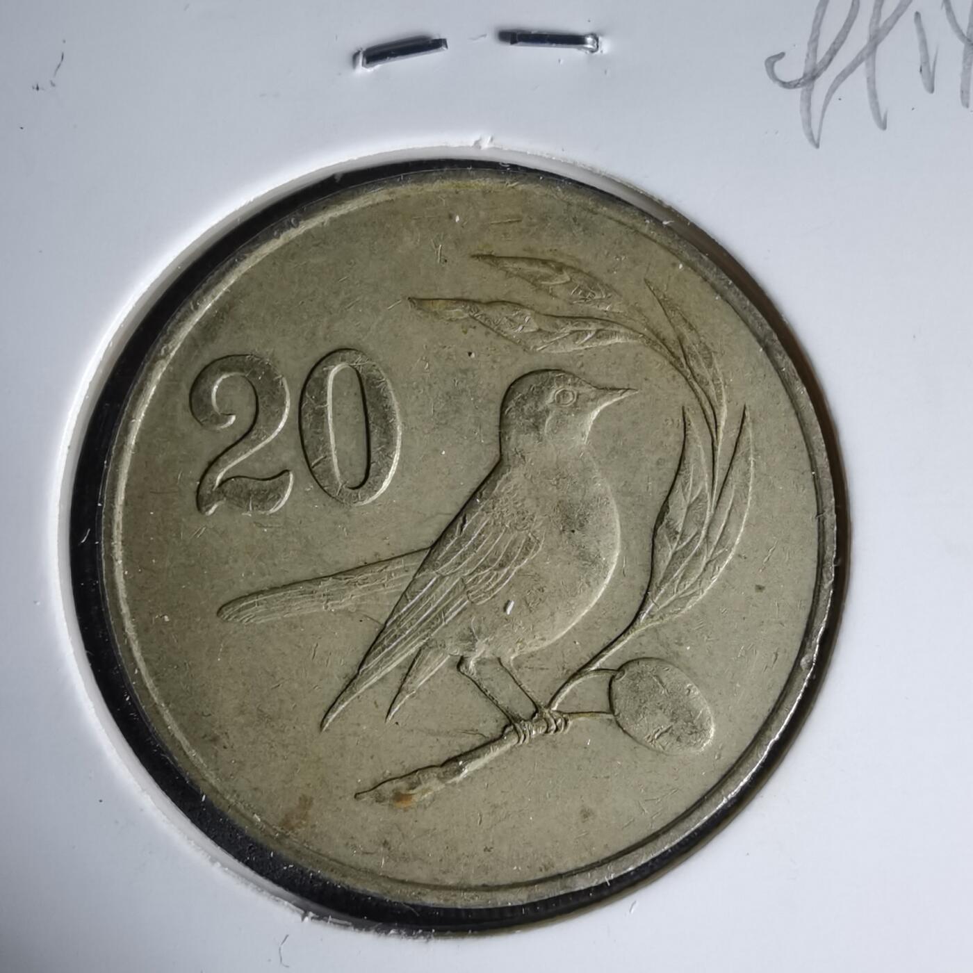 沼泽如烟--第999场