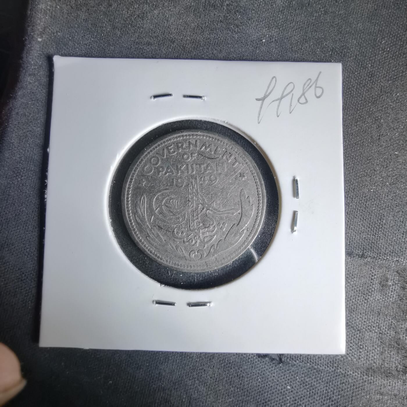 沼泽如烟--第999场