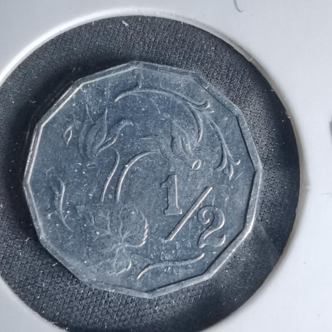 沼泽如烟--第999场