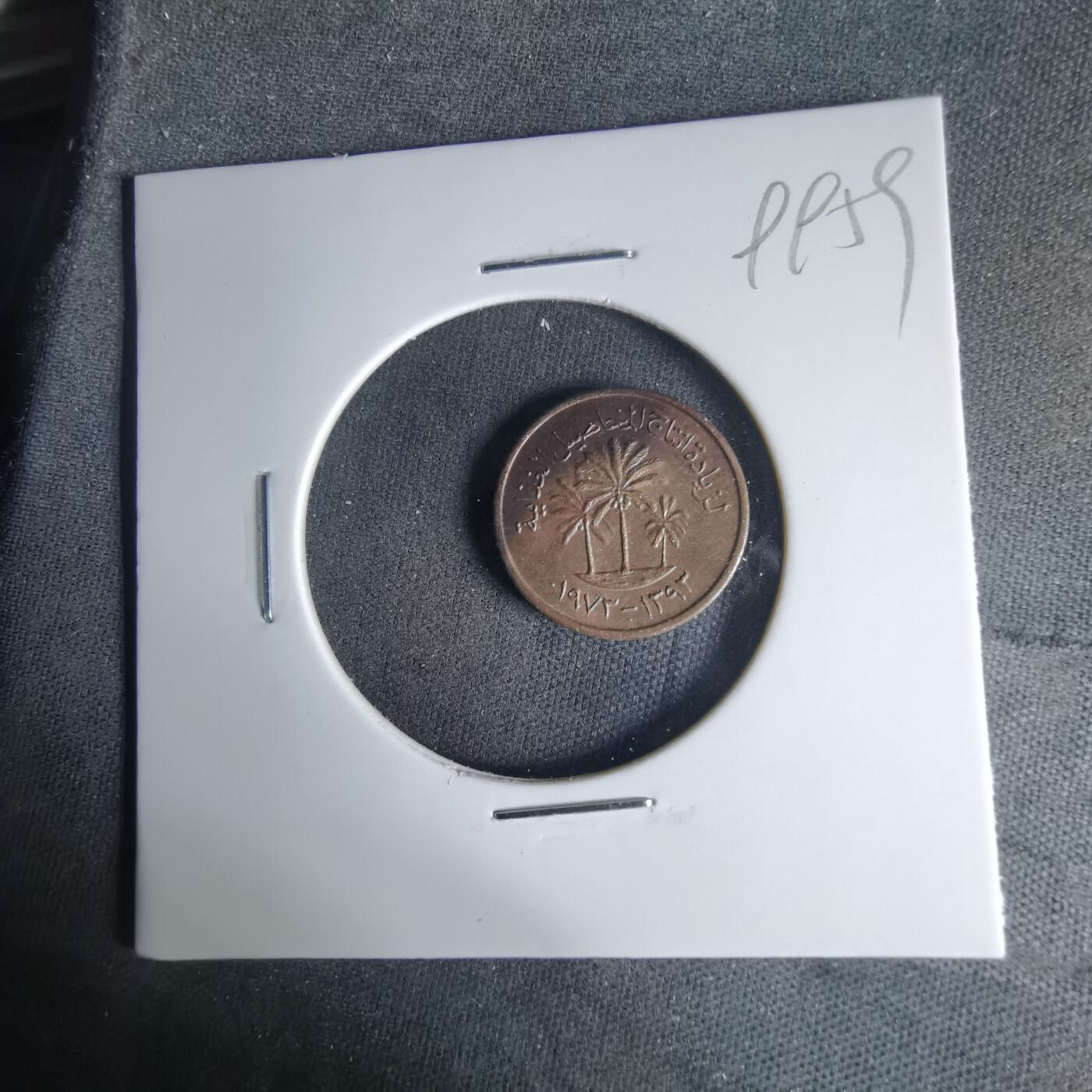 沼泽如烟--第999场