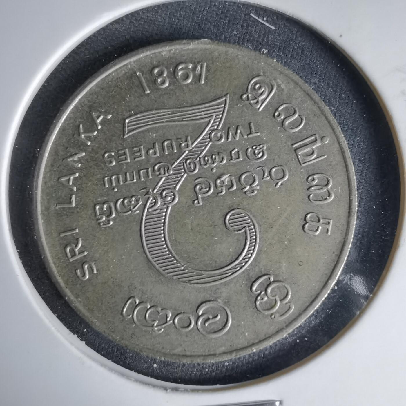 沼泽如烟--第999场