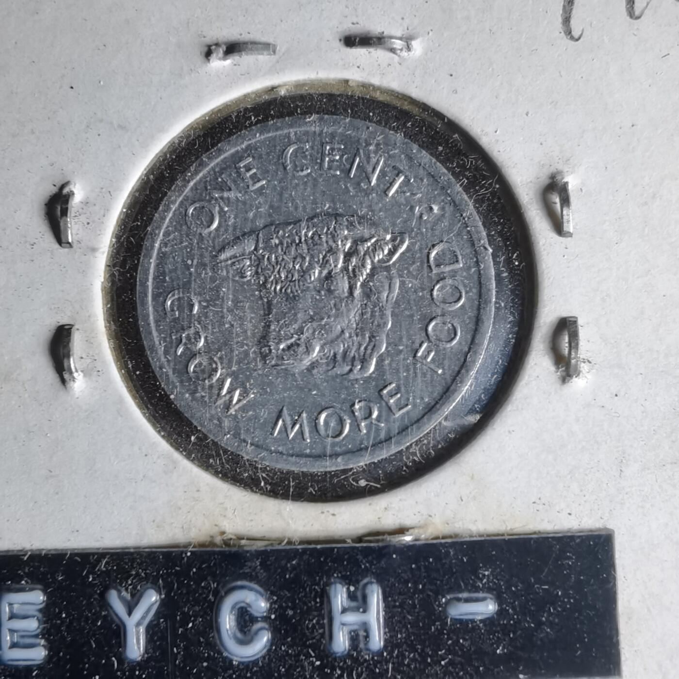 沼泽如烟--第999场