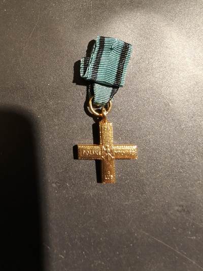 老王徽章第183期 - 波兰二战游击队十字迷你章