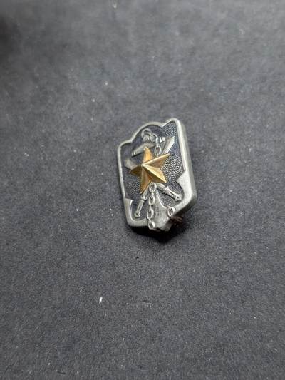 凯旋世界勋赏（持续上新中）（第22期新年大拍）（欢迎送拍）（对拍品有疑问请询问客服，不接受到手刀，出价默认拍品品相。请认真阅读拍卖规则！出价默认已认可！）（收到货请录制开箱视频，无视频概不处理问题。） - 军人在乡会会员章