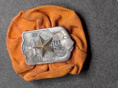 凯旋世界勋赏（持续上新中）（第22期新年大拍）（欢迎送拍）（对拍品有疑问请询问客服，不接受到手刀，出价默认拍品品相。请认真阅读拍卖规则！出价默认已认可！）（收到货请录制开箱视频，无视频概不处理问题。） - 军人在乡会徽章