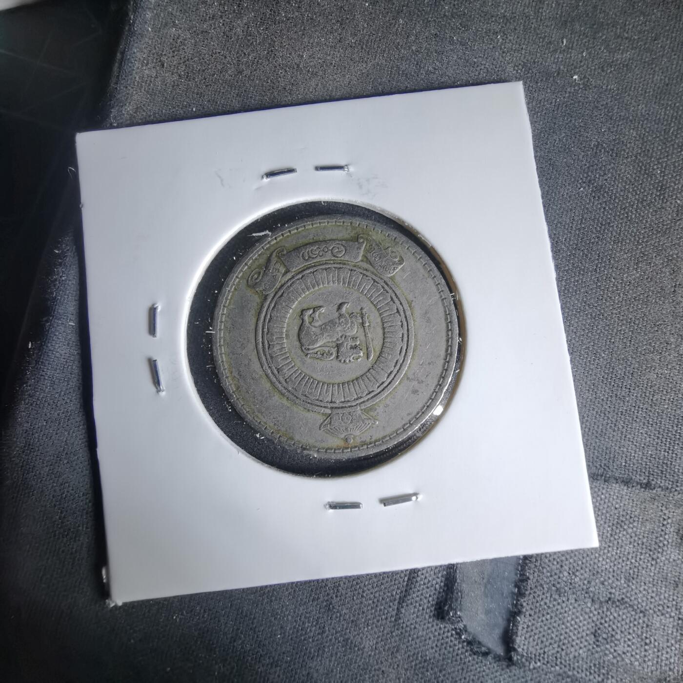 沼泽如烟--第999场