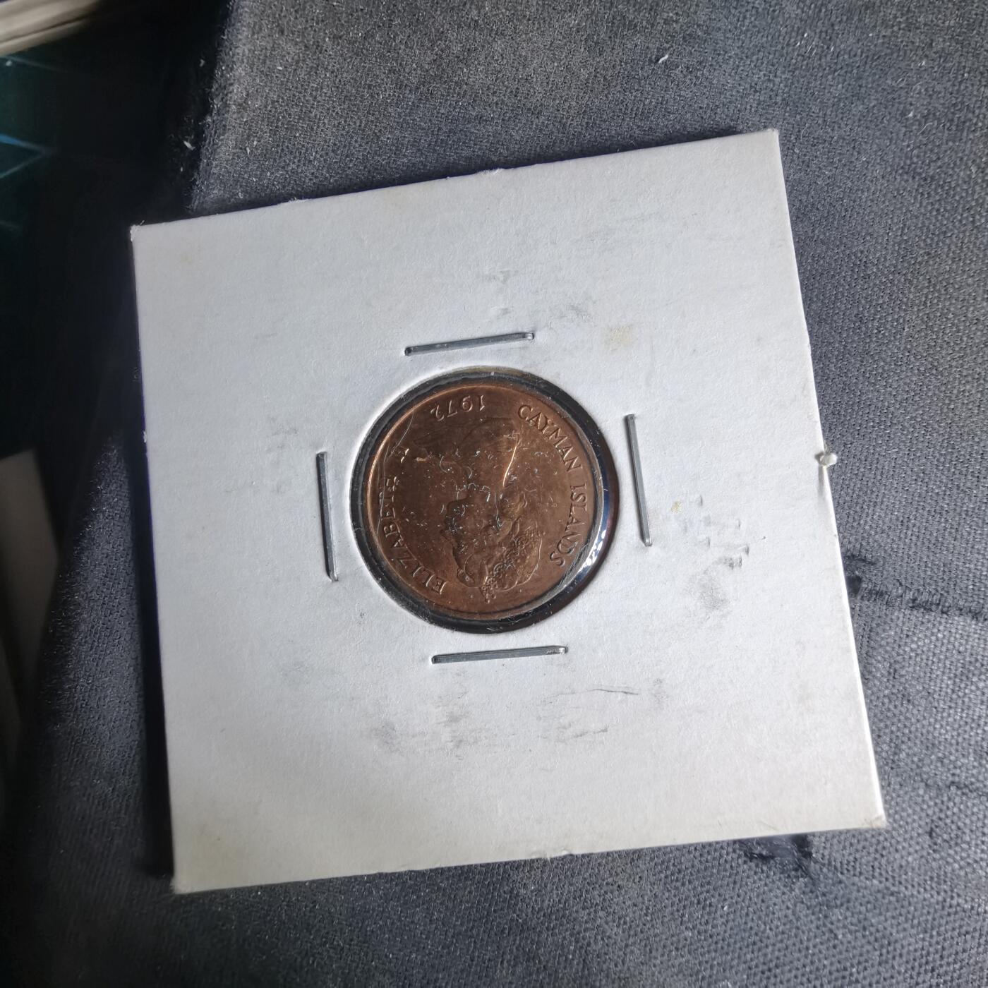 沼泽如烟--第999场