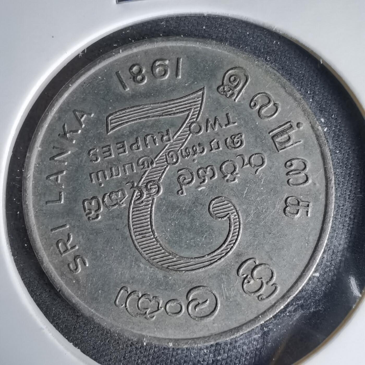 沼泽如烟--第999场