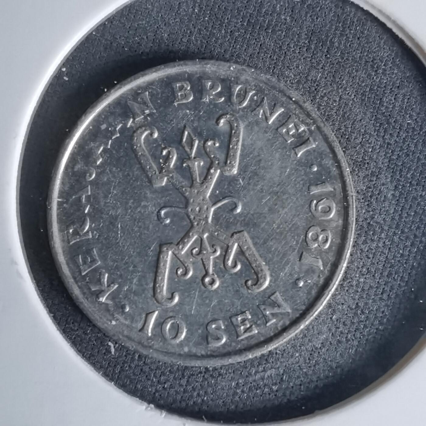 沼泽如烟--第999场