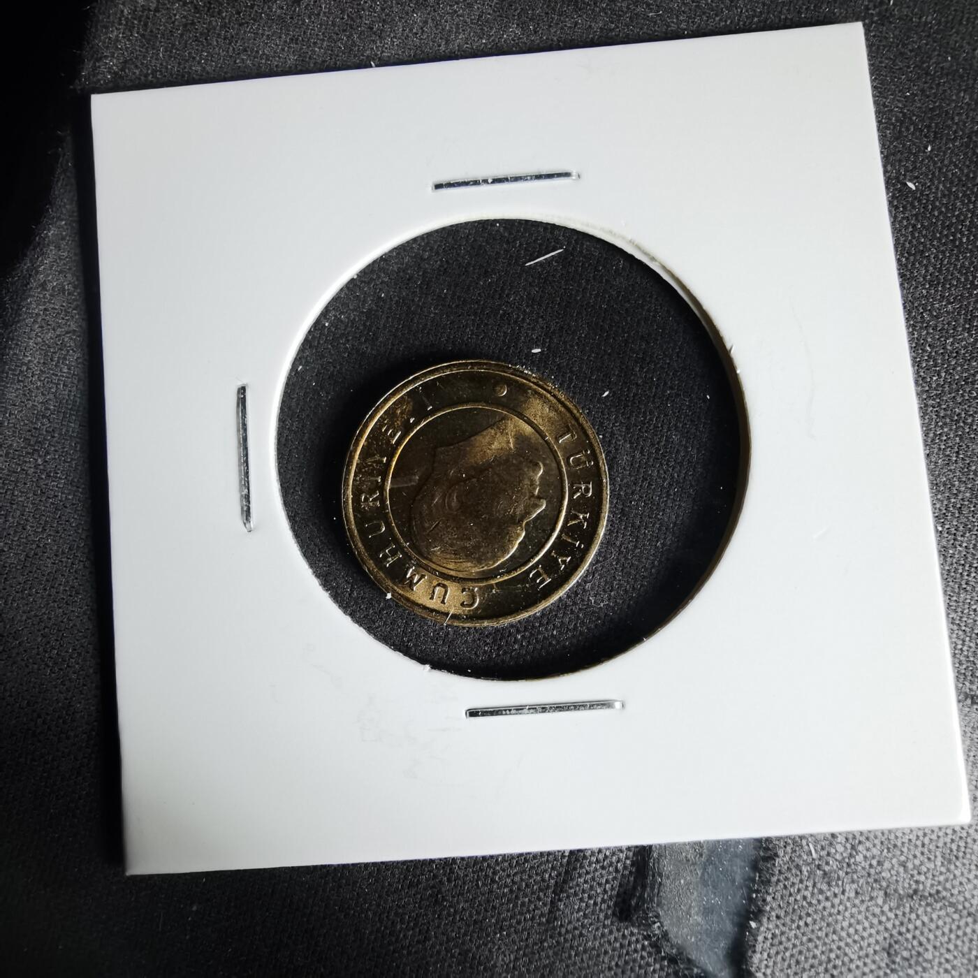 沼泽如烟--第999场