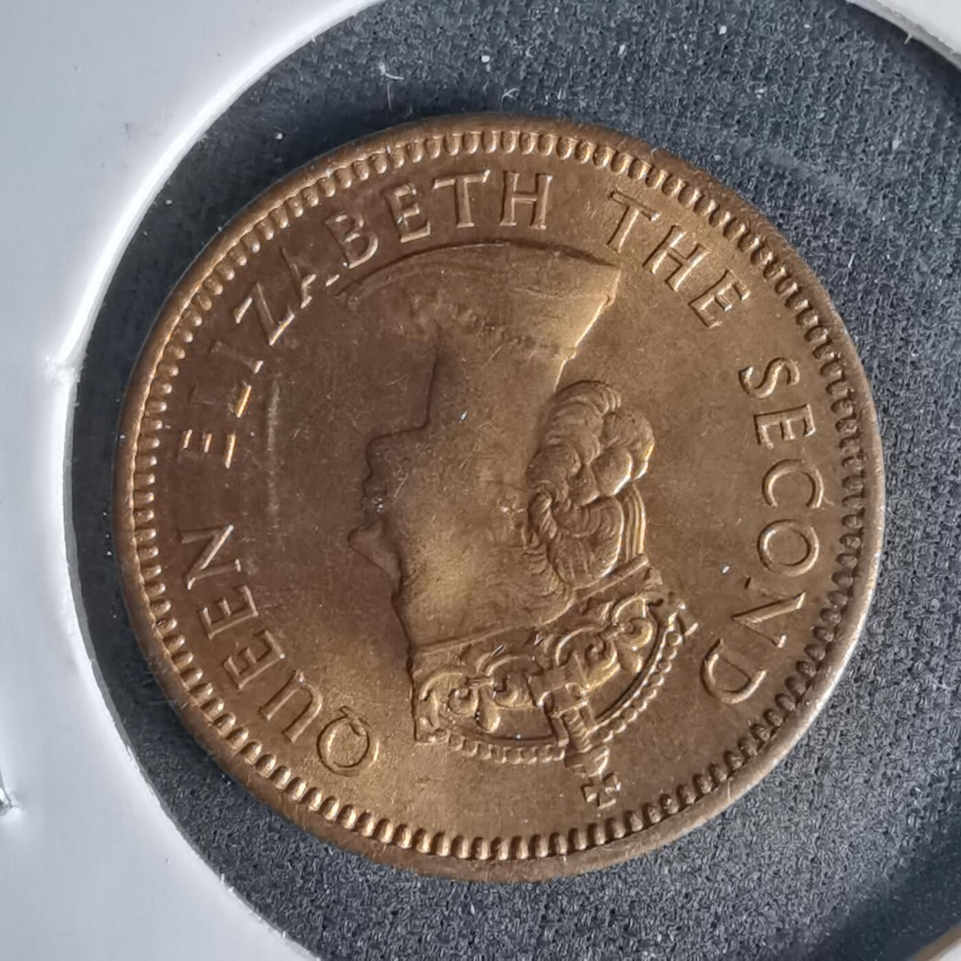 沼泽如烟--第999场