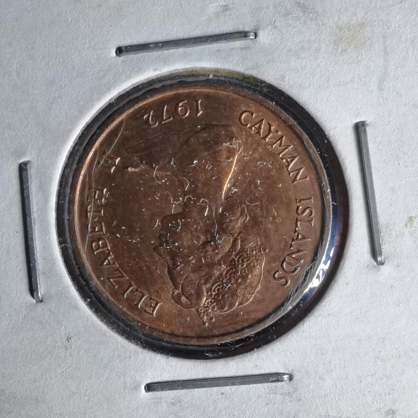 沼泽如烟--第999场