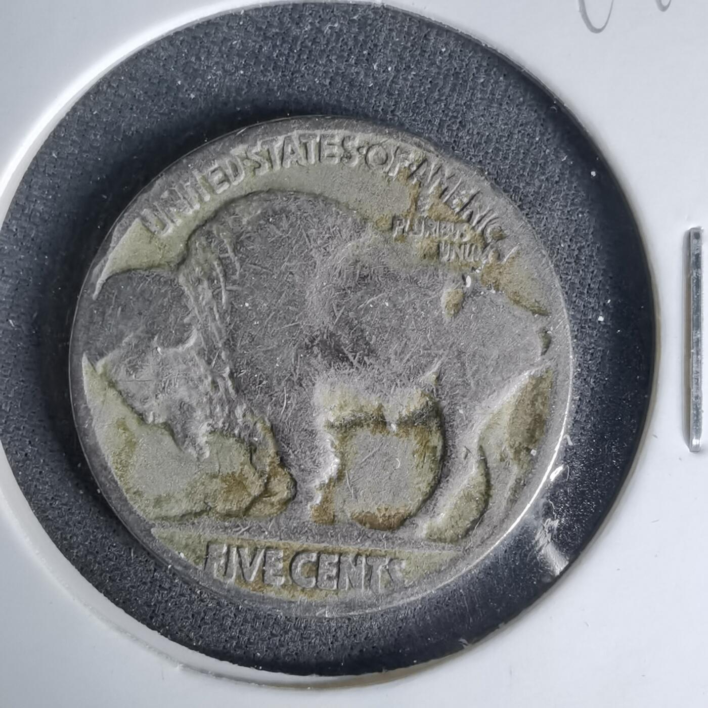 沼泽如烟--第999场