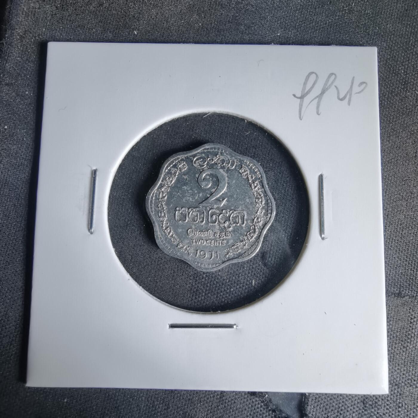 沼泽如烟--第999场