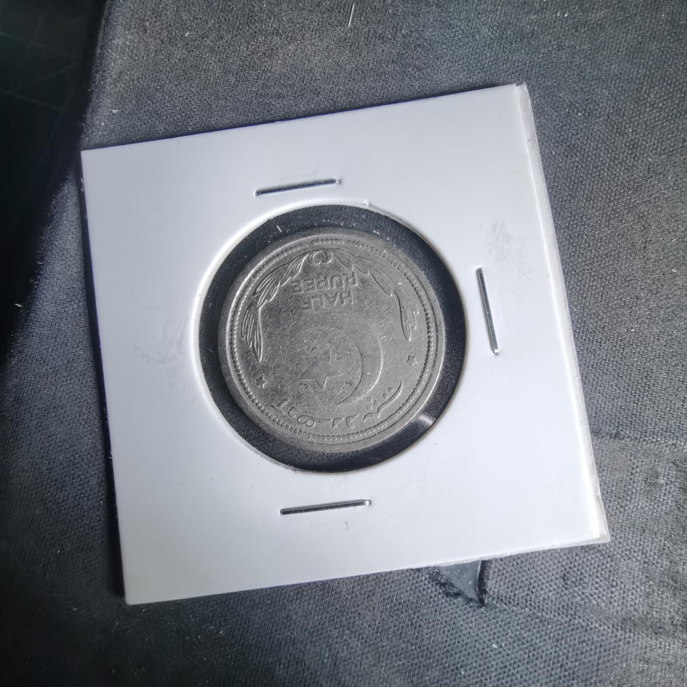 沼泽如烟--第999场