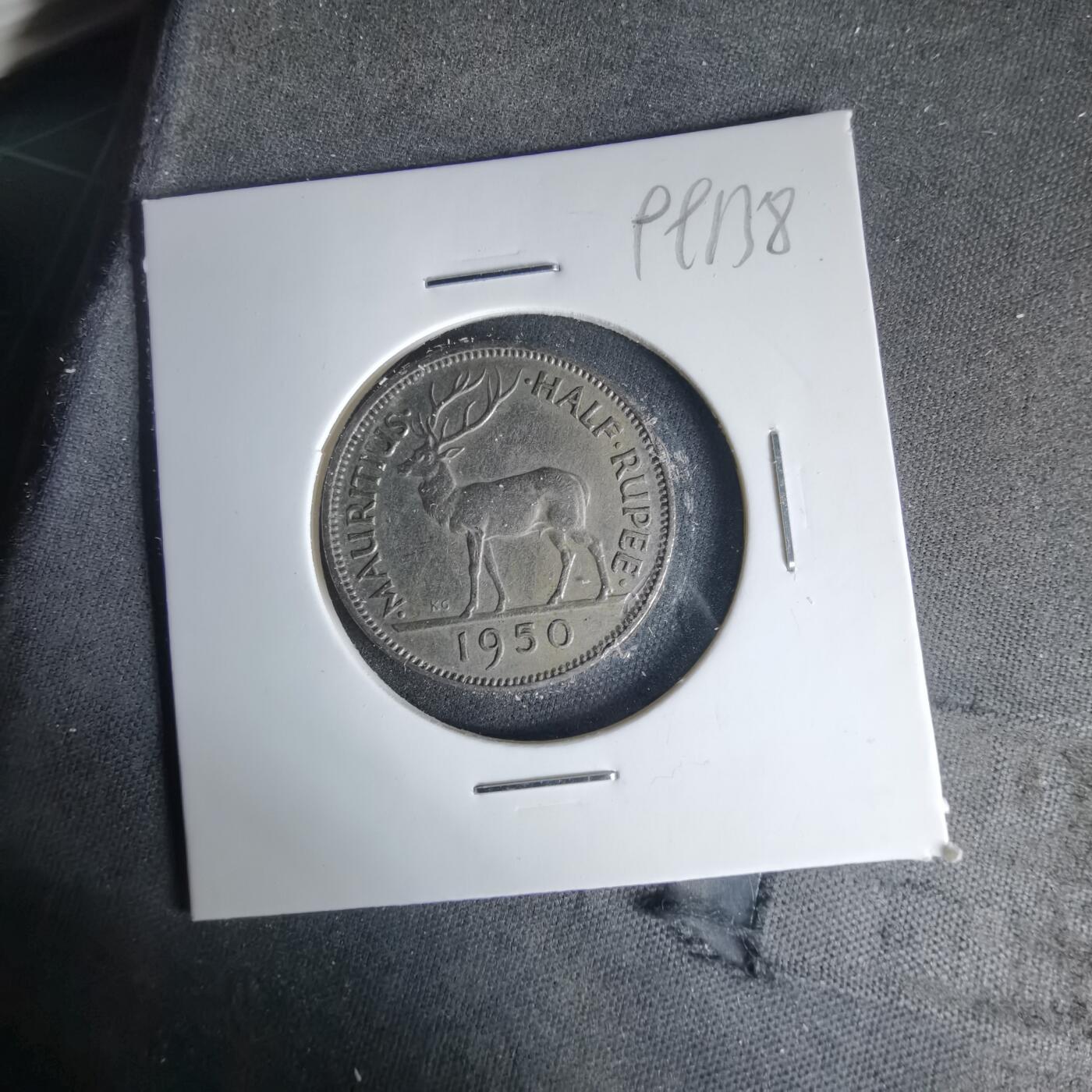 沼泽如烟--第999场