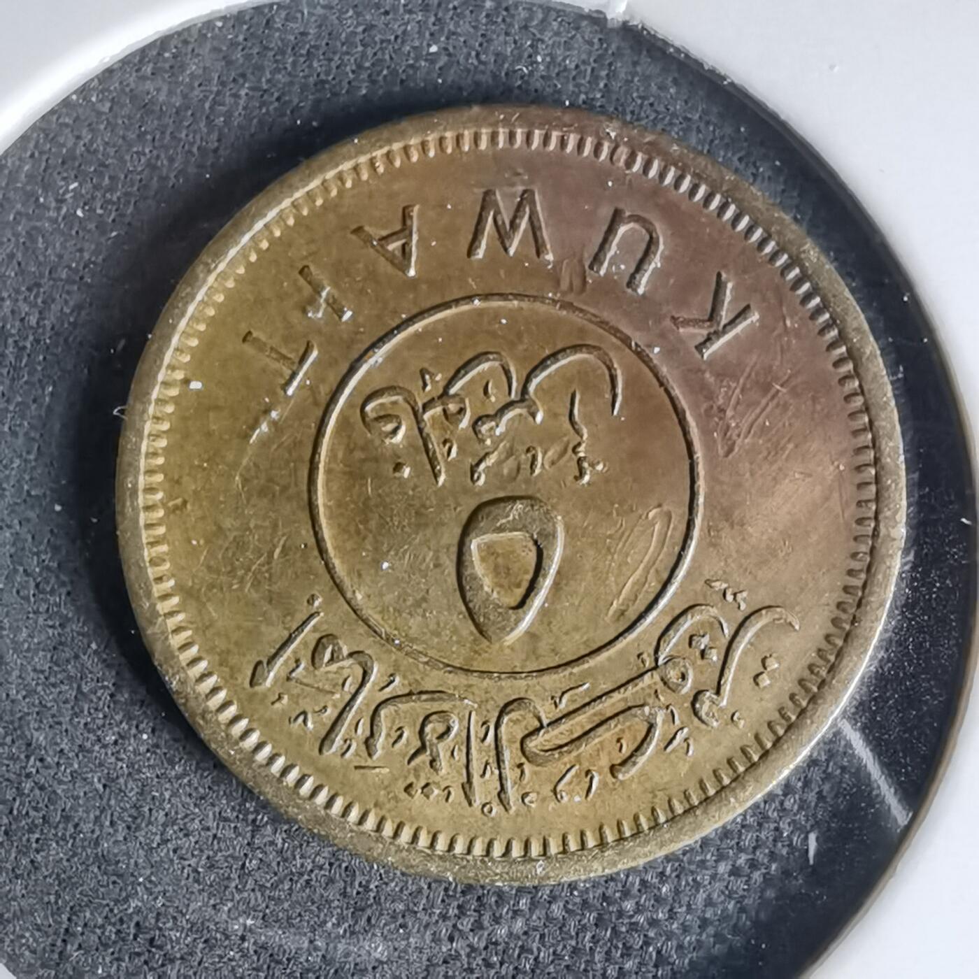 沼泽如烟--第999场