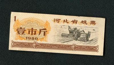 沧河堂099 - 1980年 河北省粮票 一斤