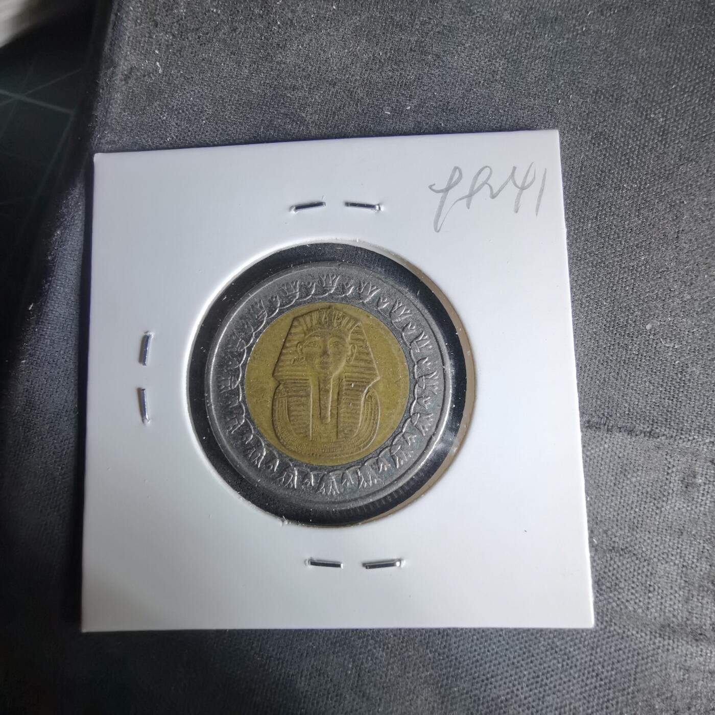 沼泽如烟--第999场