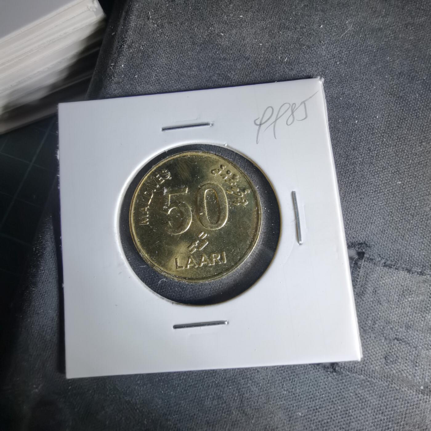 沼泽如烟--第999场