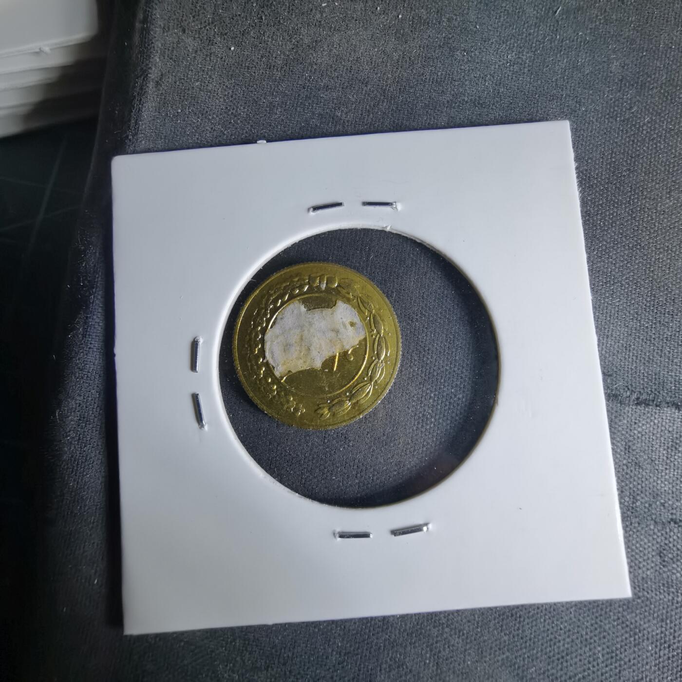 沼泽如烟--第999场 伊朗代币