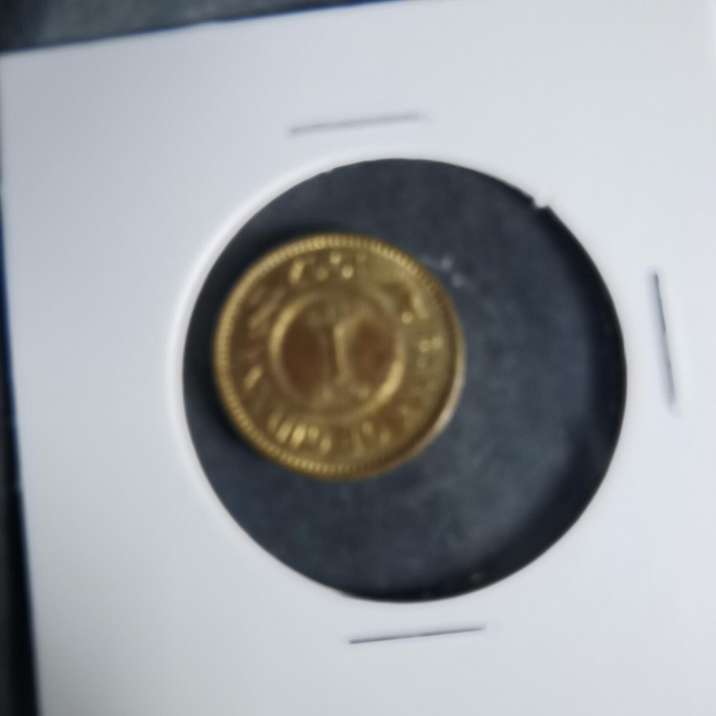 沼泽如烟--第999场