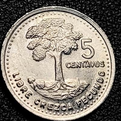 泉币菌-第194场- 新年快乐 新年第二场 本场拍品多 请提前出价 - 原光美品 树 危地马拉1991年 5分銅镍币 袖珍币