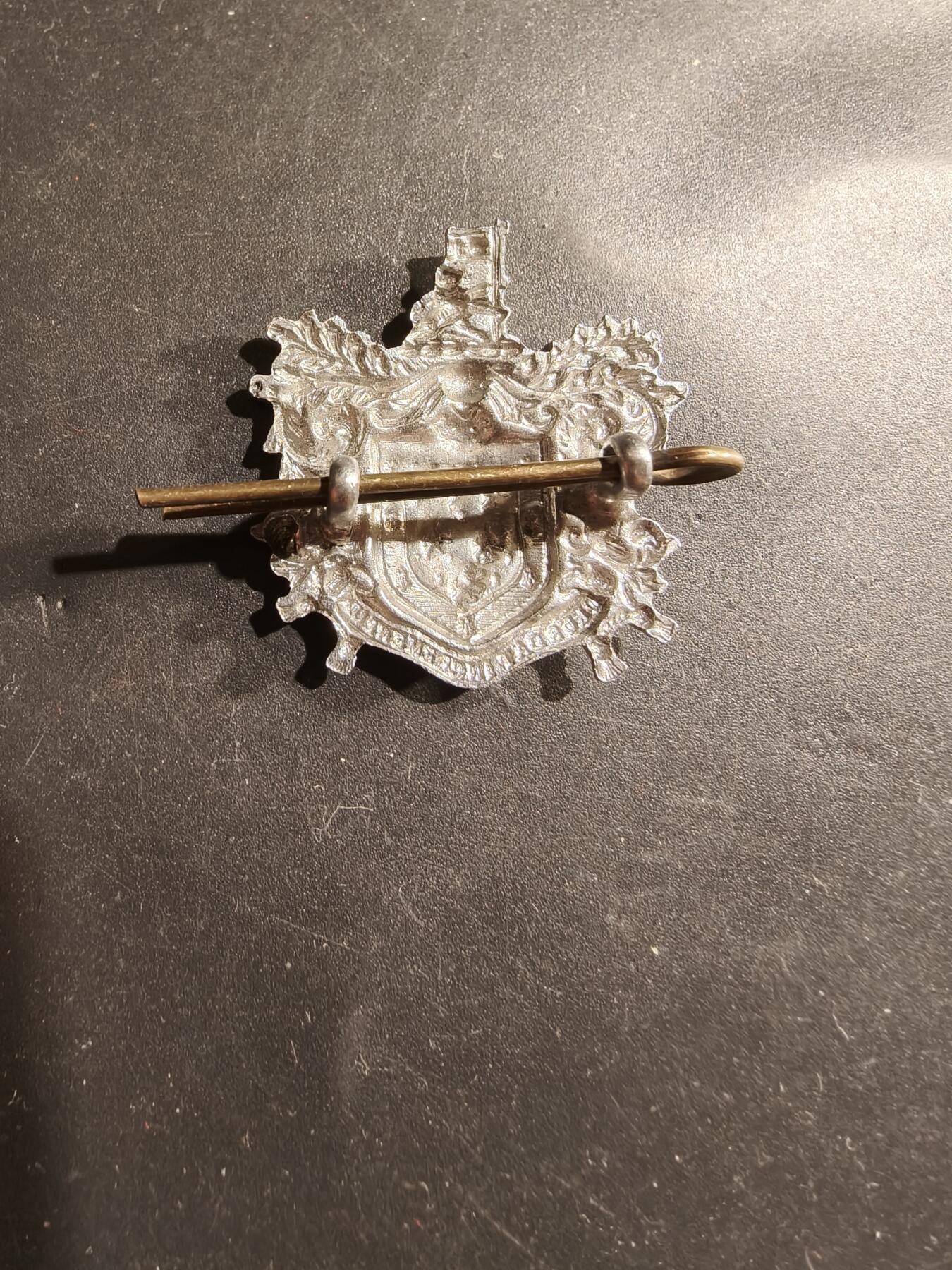 老王徽章第183期