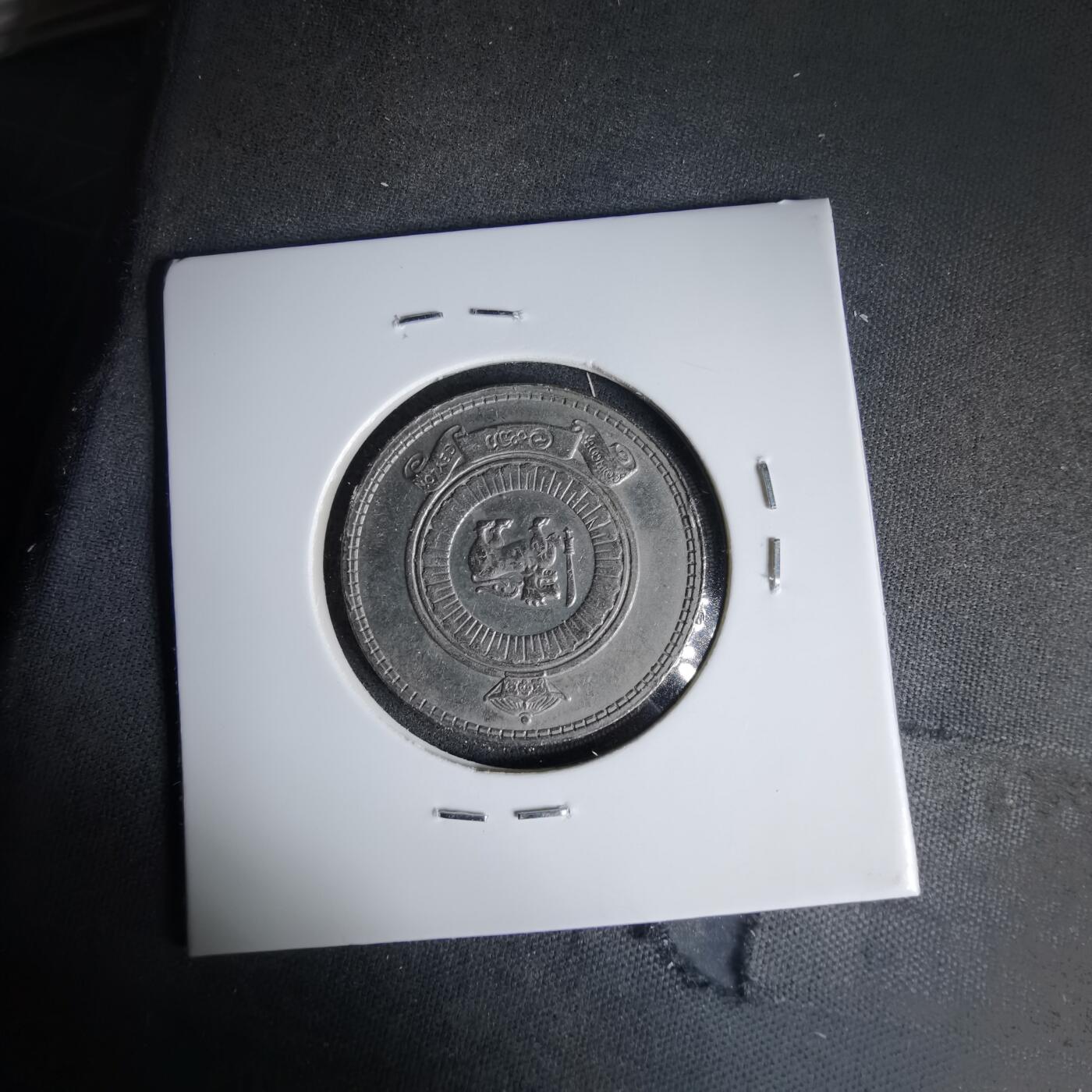 沼泽如烟--第999场