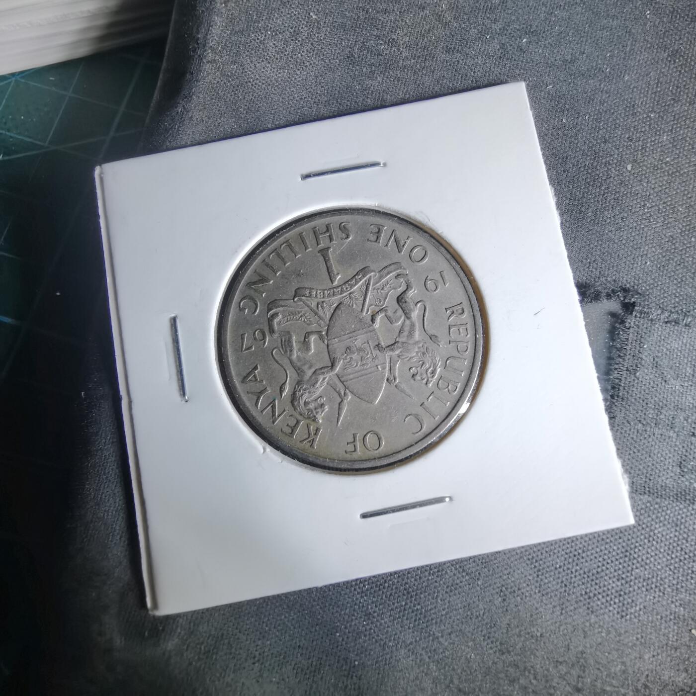 沼泽如烟--第999场