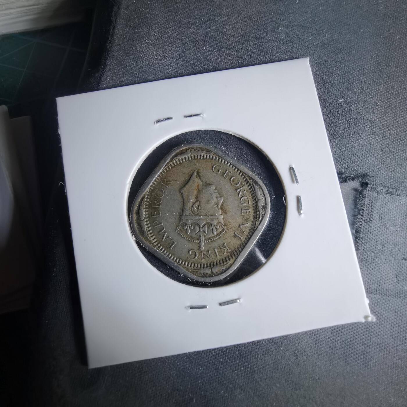 沼泽如烟--第999场