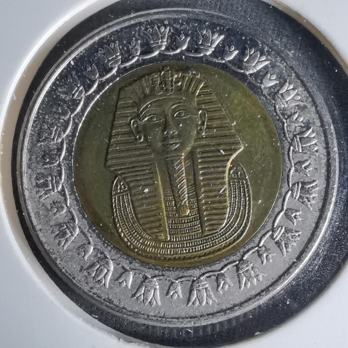 沼泽如烟--第999场