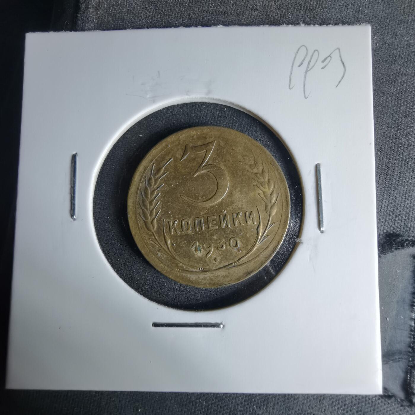 沼泽如烟--第999场