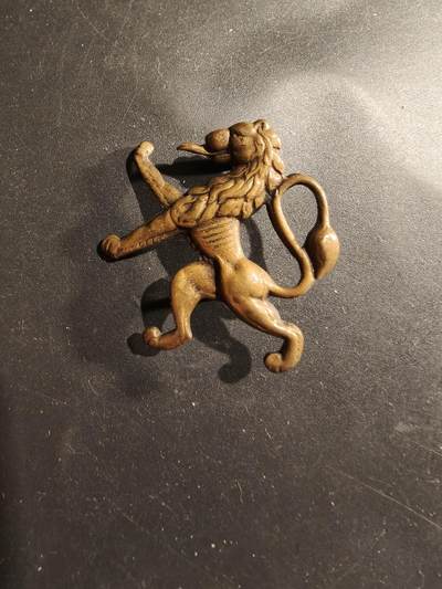 老王徽章第183期 - 比利时二战“自由比利时”武装力量帽徽